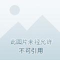致命游戏:全能大佬搞钱攻略 致命游戏:全能大佬搞钱攻略