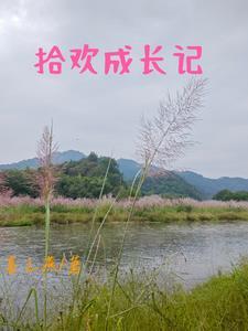 拾欢成长记 拾欢成长记