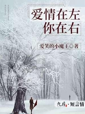 爱情在左你在右 爱情在左你在右