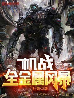 机战:全金属风暴 机战:全金属风暴